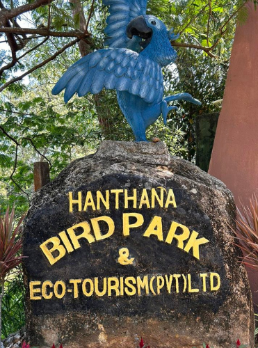hanthana bird park 4