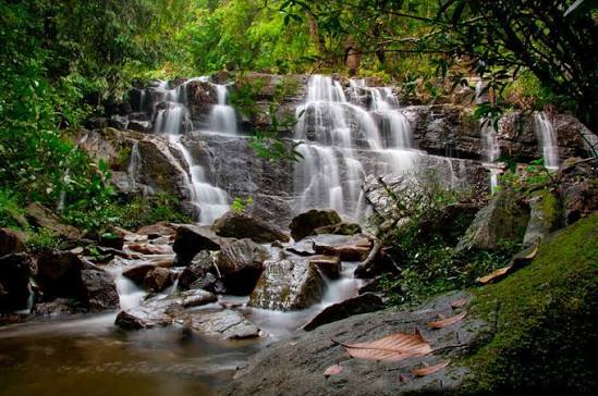 Makandawa Rainforest Reserve
