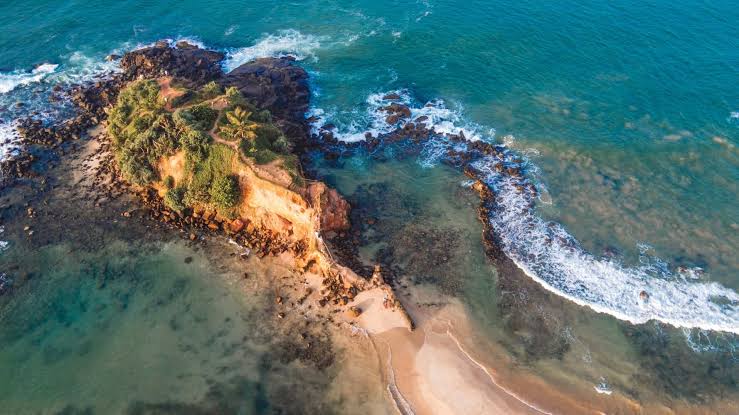 Parrot Rock