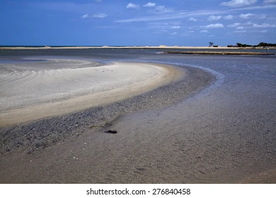 kokkilai-lagoon-nature-bird