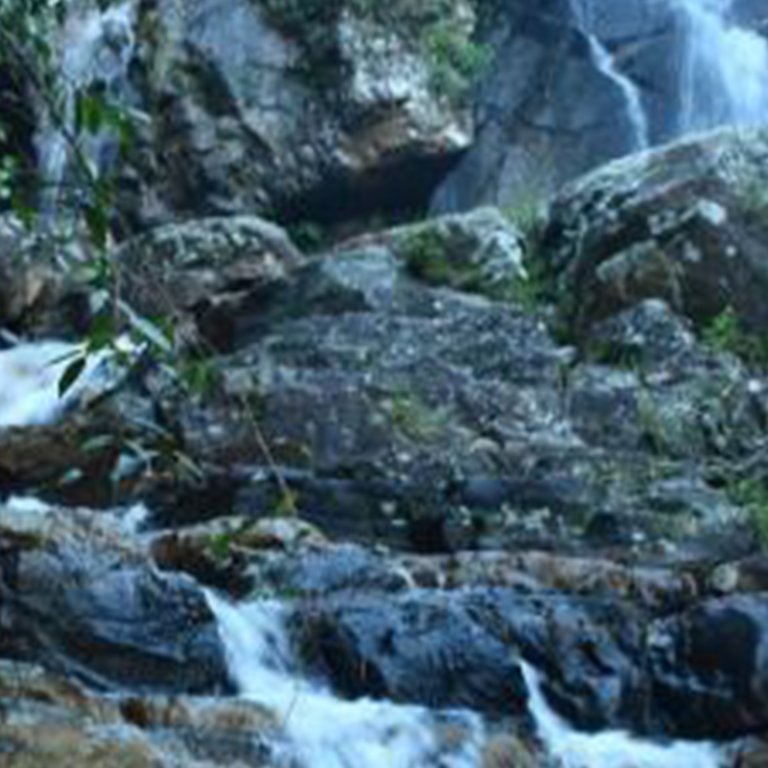 Kurulu Ella