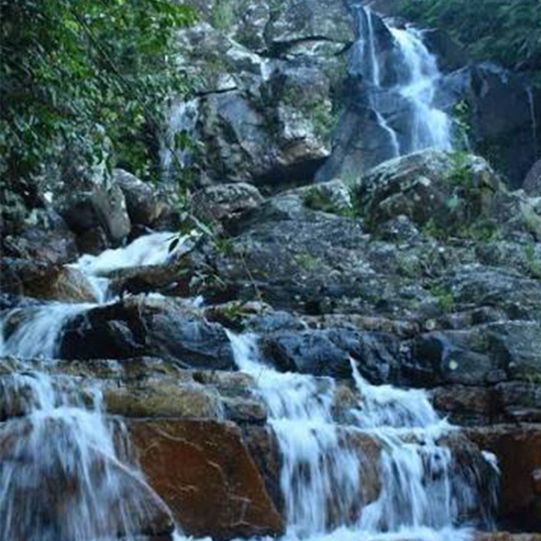 Kurulu Ella