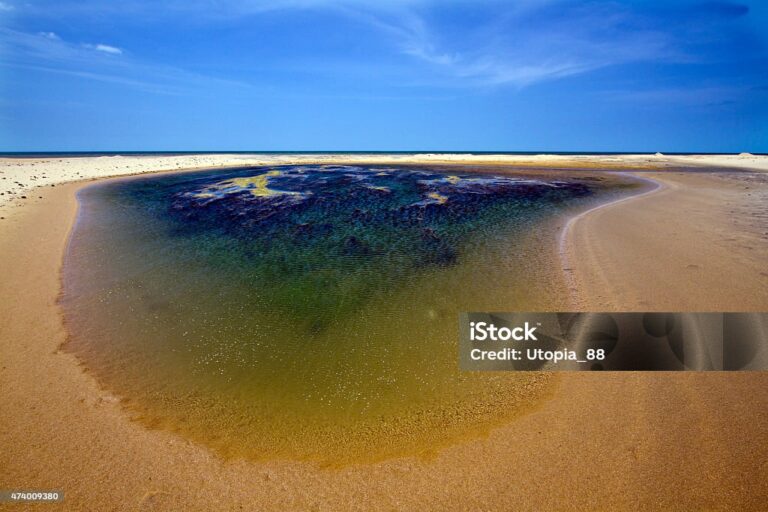 This lagoon is natural birdlife reserve in east coast of Sri Lanka.