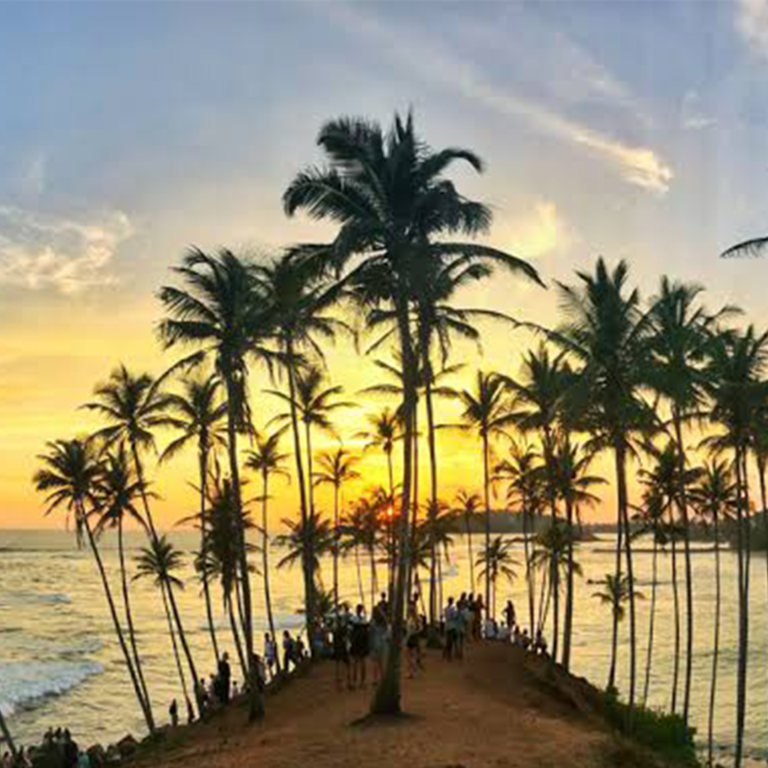 Mirissa Beach