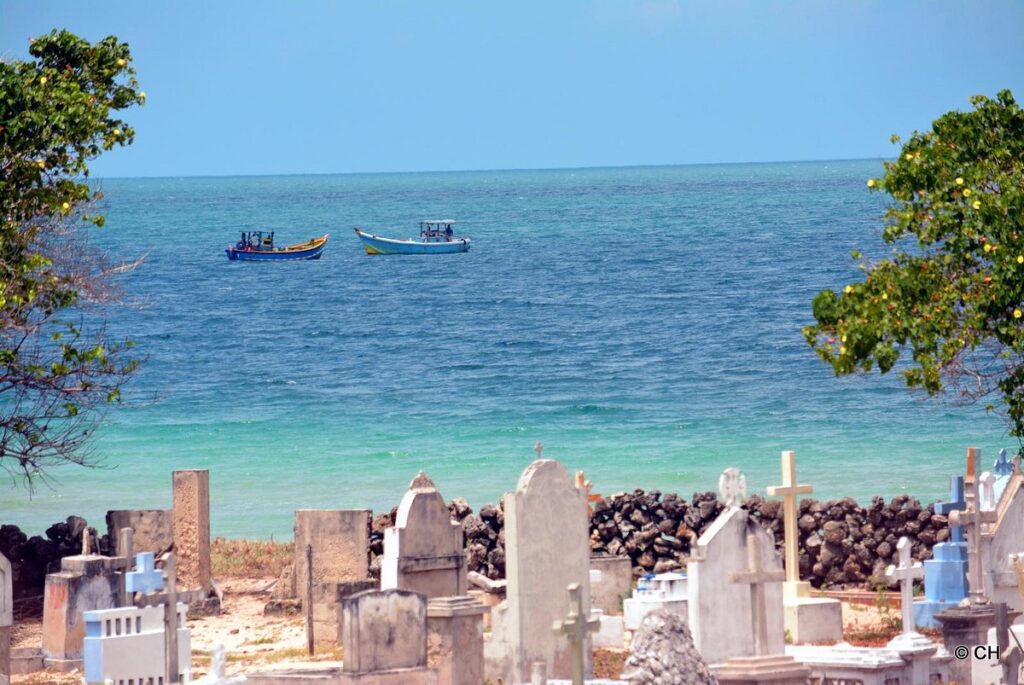 nedunthivu