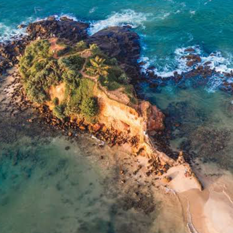 Parrot Rock