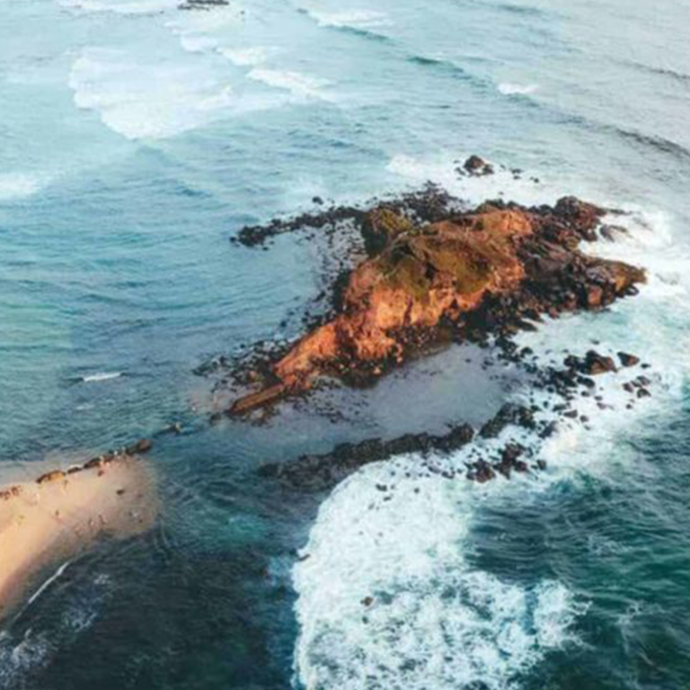 Parrot Rock