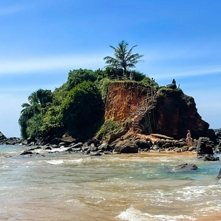 Parrot Rock